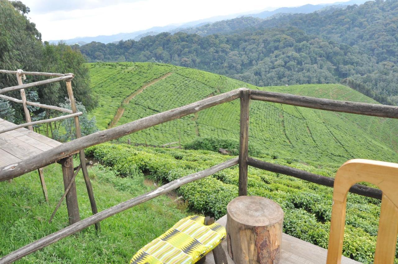 Nyungwe Nziza Ecolodge Kitabi Kültér fotó