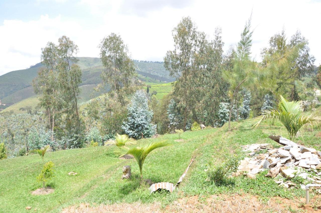 Nyungwe Nziza Ecolodge Kitabi Kültér fotó