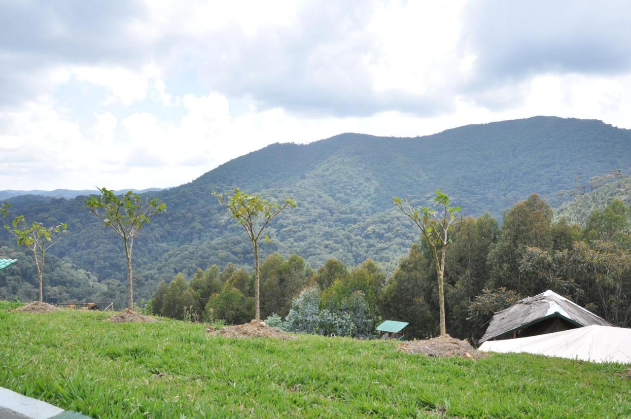 Nyungwe Nziza Ecolodge Kitabi Kültér fotó