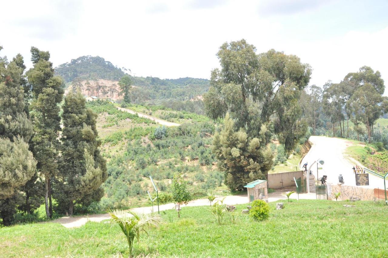 Nyungwe Nziza Ecolodge Kitabi Kültér fotó