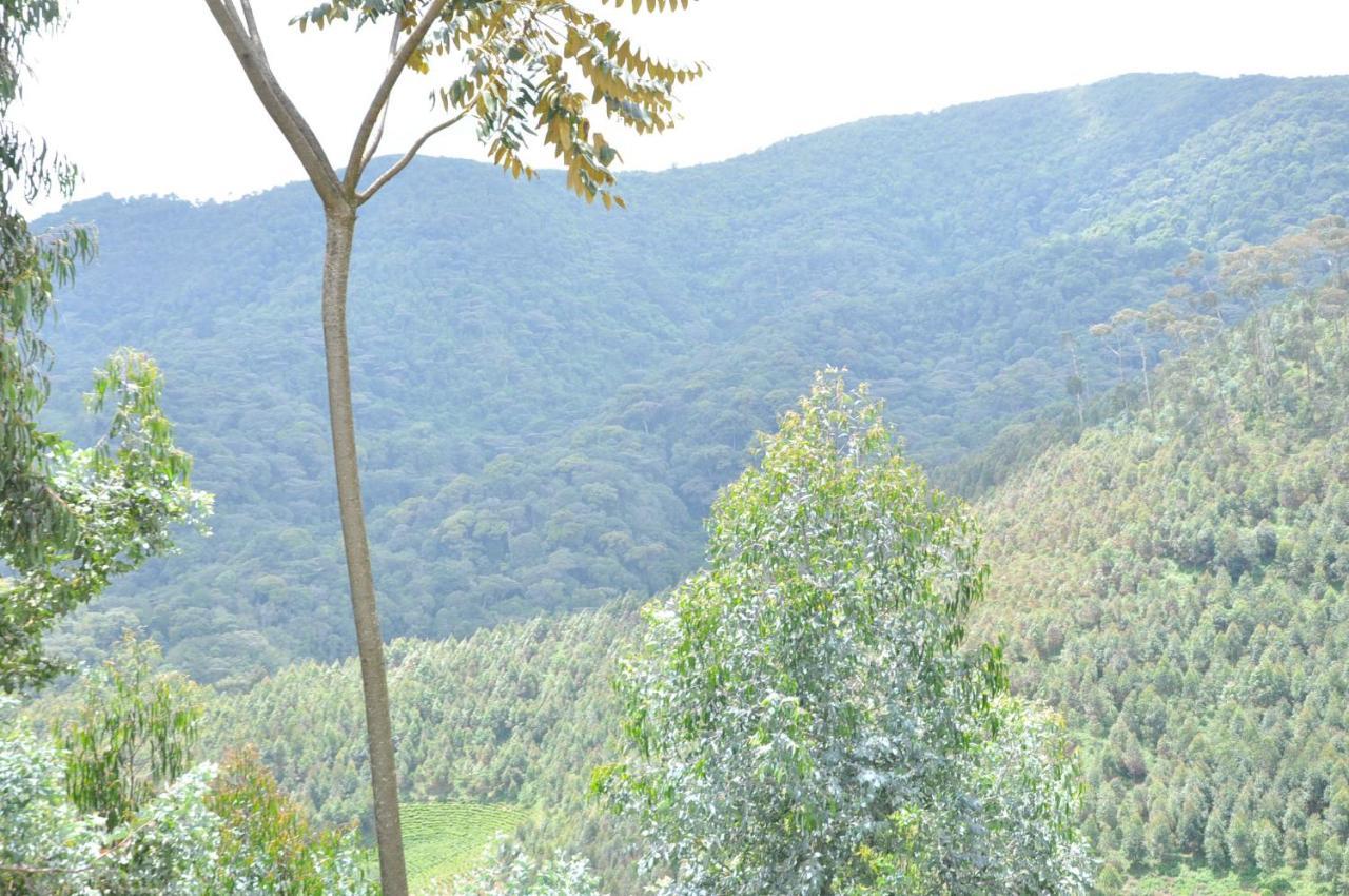 Nyungwe Nziza Ecolodge Kitabi Kültér fotó