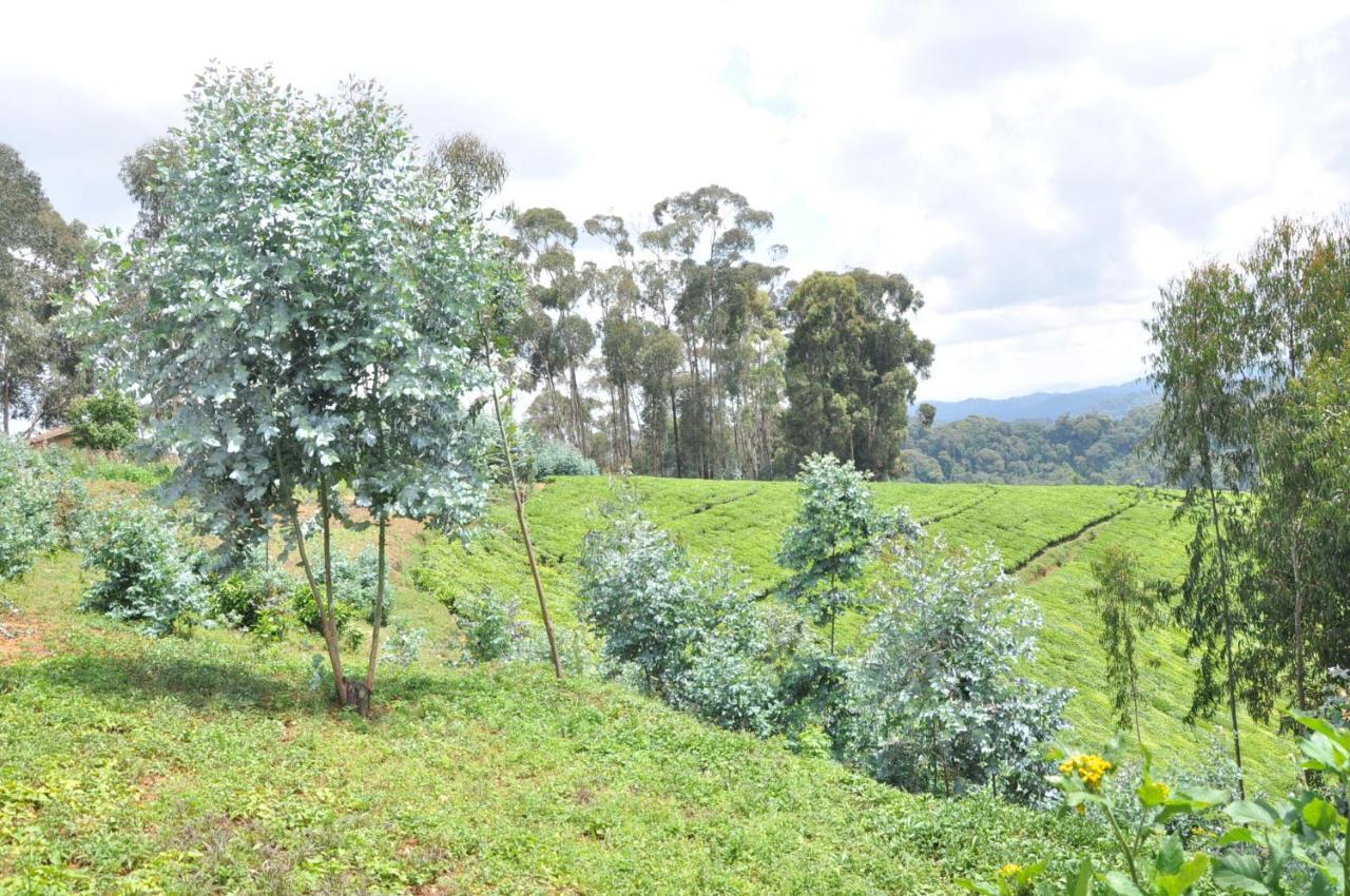 Nyungwe Nziza Ecolodge Kitabi Kültér fotó