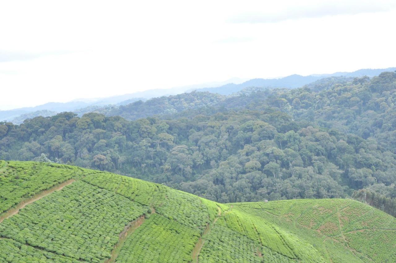 Nyungwe Nziza Ecolodge Kitabi Kültér fotó