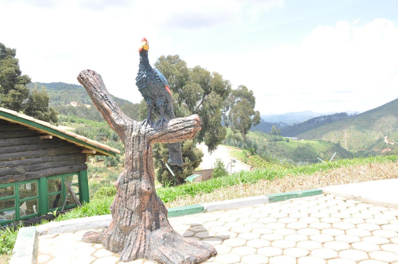 Nyungwe Nziza Ecolodge Kitabi Kültér fotó